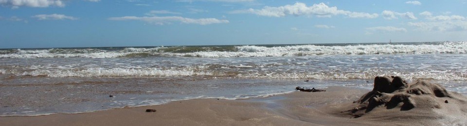 Beach photo by Max Hemingway