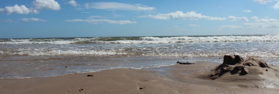 Data Science and Information&nbsp;Theory