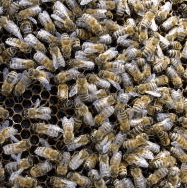 Personal Knowledge Management&nbsp;System