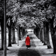 IoT Cloak of&nbsp;Invisibility