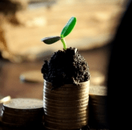 DevOps Survey 2015&nbsp;Underway