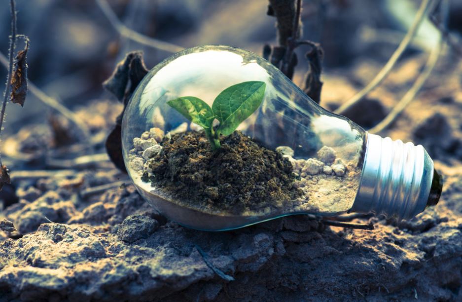 Having the Right Digital Mindset: Business (Change, Agility and a Growth&nbsp;Mindset)